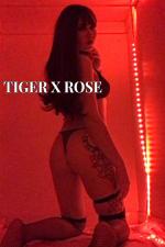 Tiger Rose's gallery photo 6