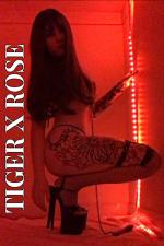 Tiger Rose's gallery photo 5